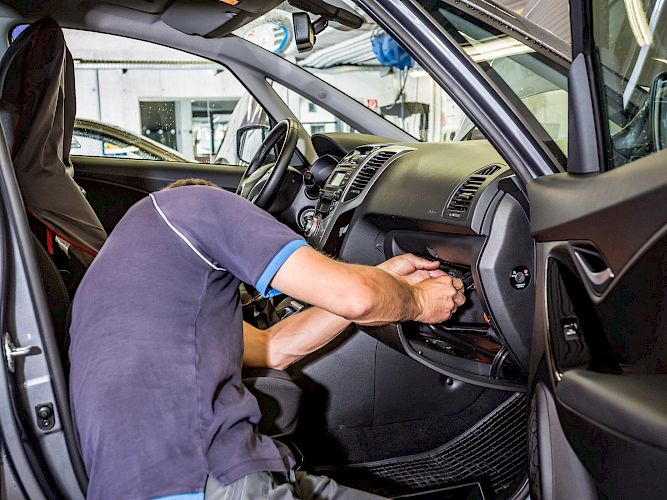 Anti-Allergiefilter (für alle Marken)